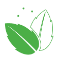 Decorative publishing shape